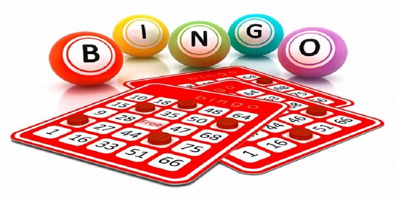 Hướng dẫn về cách chơi bingo ở S666 cho người mới