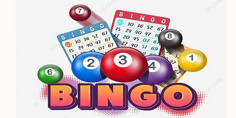 Chơi Bingo trực tuyến đã trở thành một xu hướng không thể thiếu