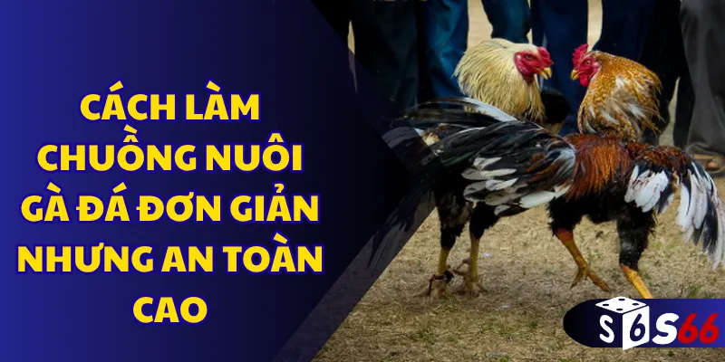 Cách làm chuồng nuôi gà đá đơn giản nhưng an toàn cao